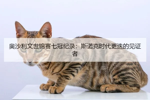 奥沙利文世锦赛七冠纪录：斯诺克时代更迭的见证者